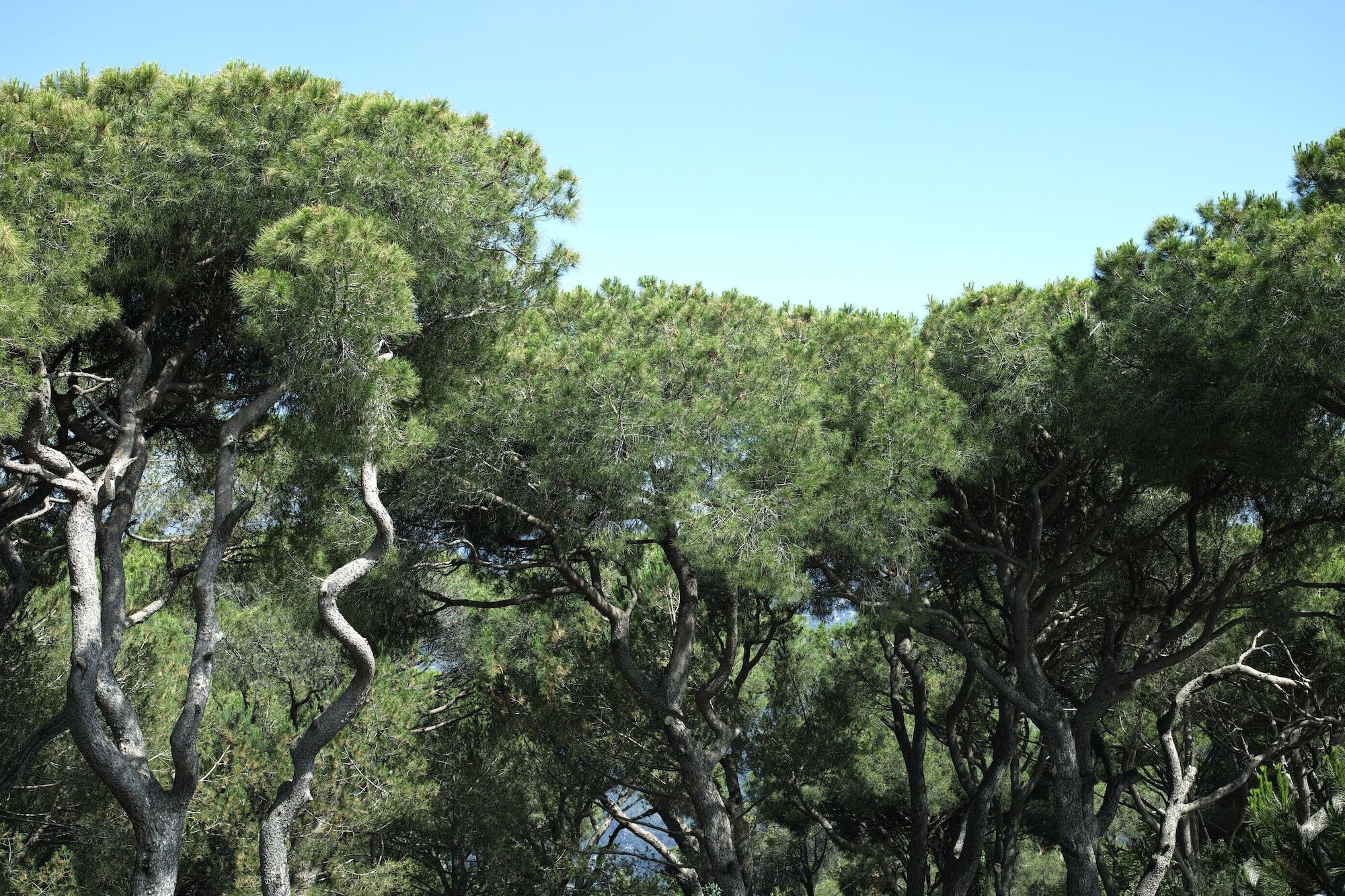 Hotel Al Bustan Beit Mery Εξωτερικό φωτογραφία